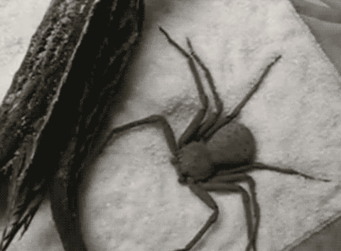 Tyyyyyyyyyle kokainy :):D:*