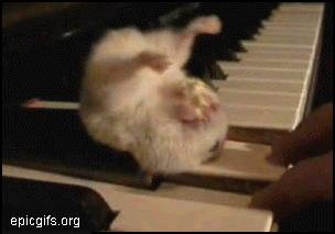 mńńńniańńńmmmmniamyymniammmmm