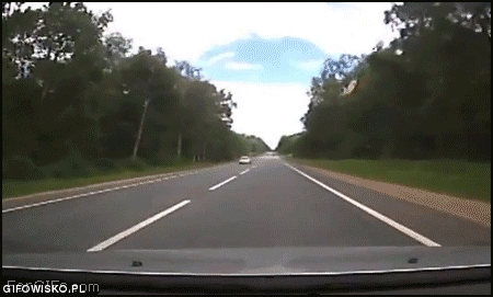 Łoś Superktoś