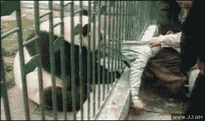 kungfu panda!