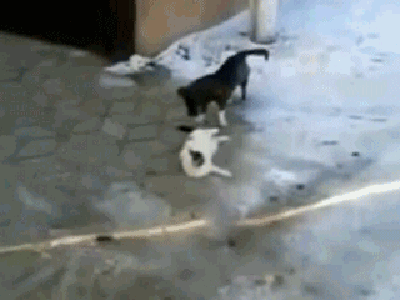 Do domu! Natychmiast...