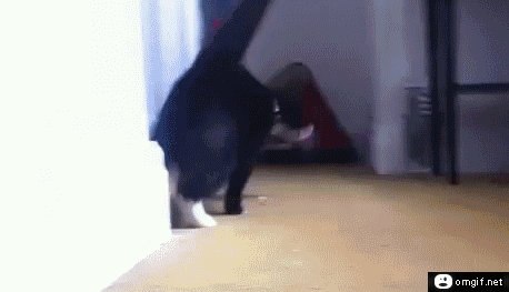 Jego propozycja na weekend...